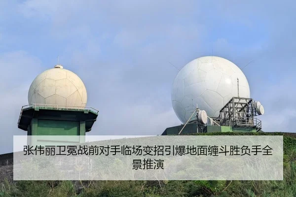 张伟丽卫冕战前对手临场变招引爆地面缠斗胜负手全景推演
