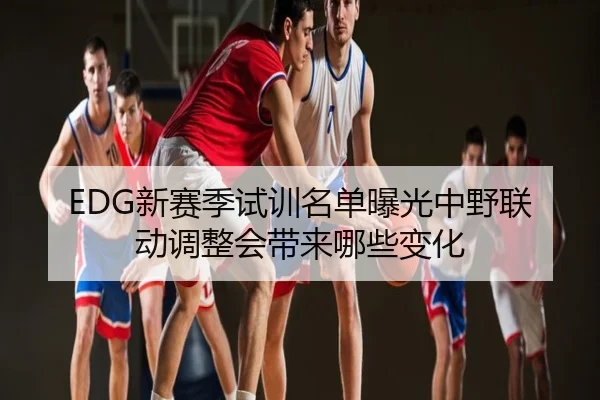 EDG新赛季试训名单曝光中野联动调整会带来哪些变化